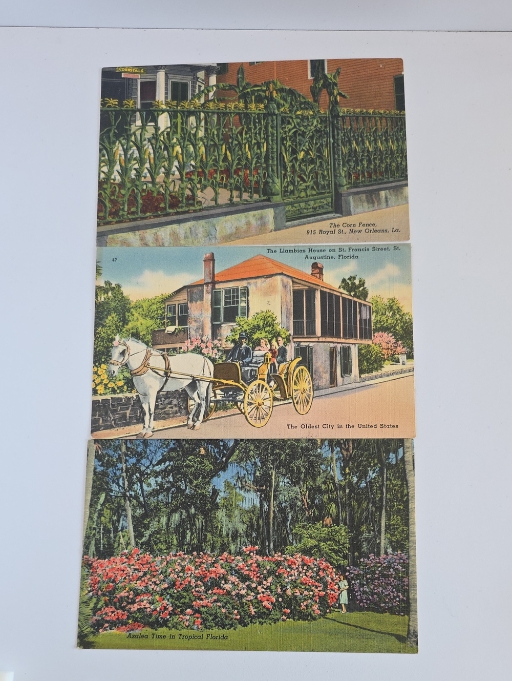 Vintage 1940's Cent Postage Postcards Lot Of 3 Florida & Lousianna